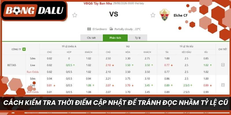 Cách kiểm tra thời điểm cập nhật để tránh đọc nhầm tỷ lệ cũ