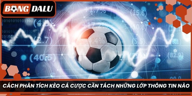 Cách phân tích kèo cá cược cần tách những lớp thông tin nào?
