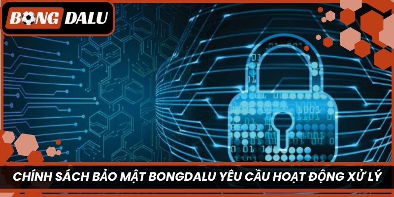 Chính sách bảo mật Bongdalu yêu cầu hoạt động xử lý bám sát mục đích 