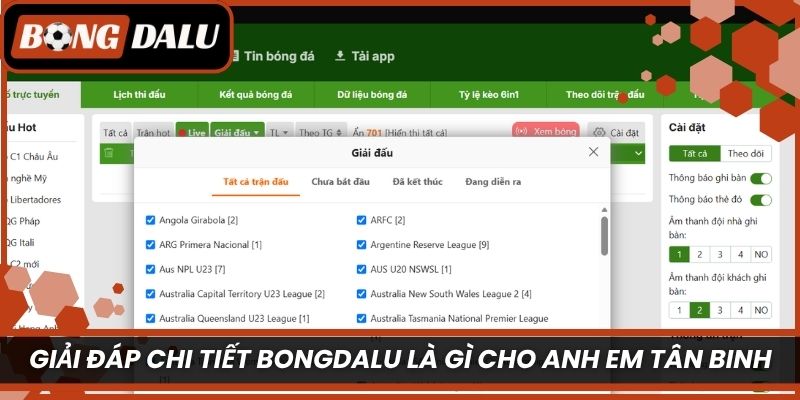 Giải đáp chi tiết Bongdalu là gì cho anh em tân binh