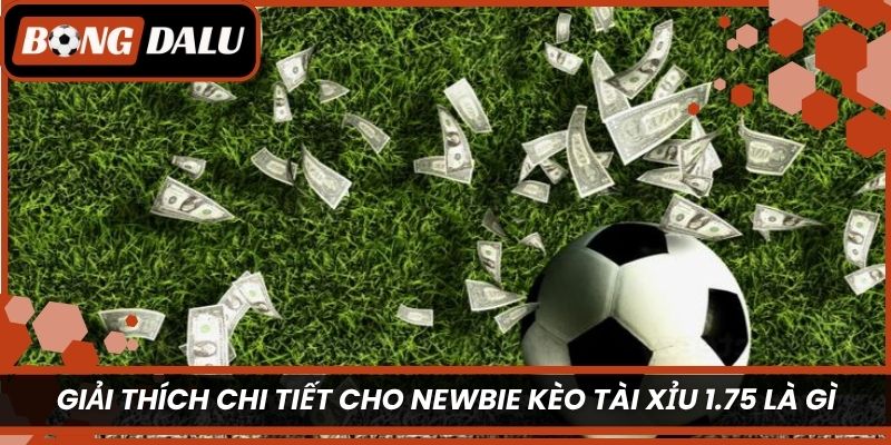 Giải thích chi tiết cho newbie kèo tài xỉu 1.75 là gì? 