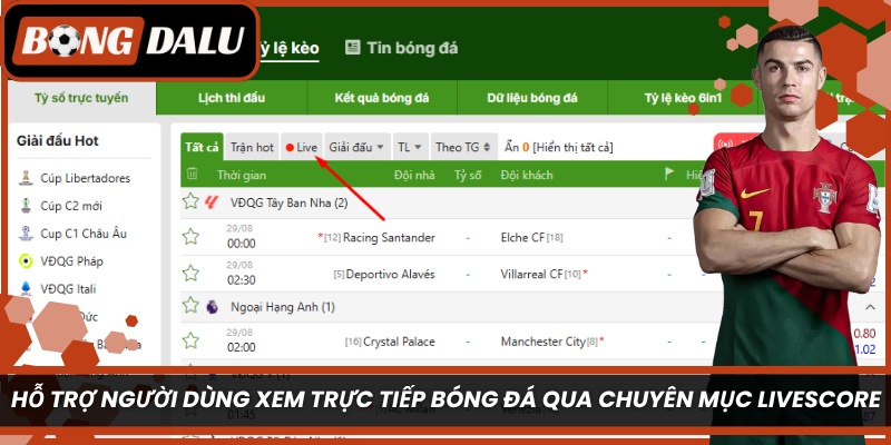 Hỗ trợ người dùng xem trực tiếp bóng đá qua chuyên mục Livescore