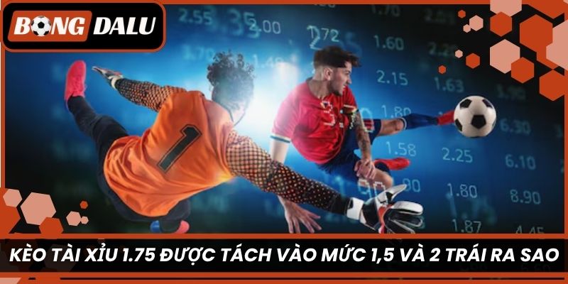 Kèo tài xỉu 1.75 được tách vào mức 1,5 và 2 trái ra sao?
