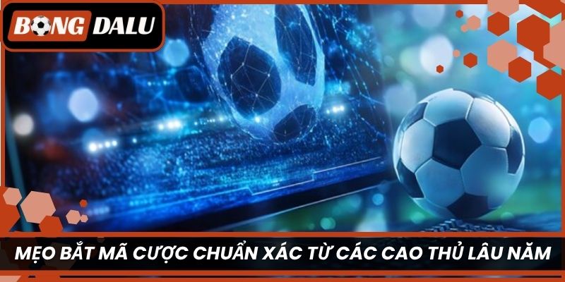 Mẹo bắt mã cược chuẩn xác từ các cao thủ lâu năm