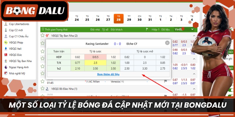 Một số loại tỷ lệ bóng đá cập nhật mới tại Bongdalu