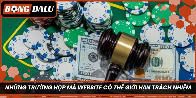 Những trường hợp mà website có thể giới hạn trách nhiệm