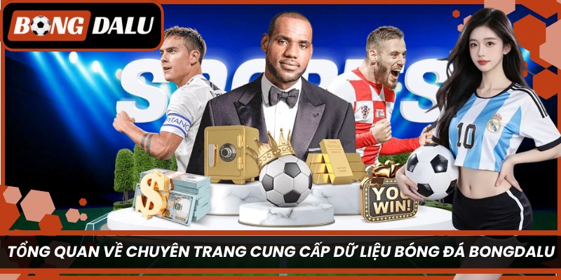 Tổng quan về chuyên trang cung cấp dữ liệu bóng đá Bongdalu
